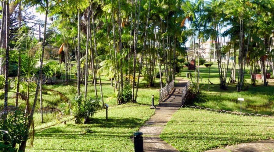 Jardin Botanique, Cayenne, French Guiana, France